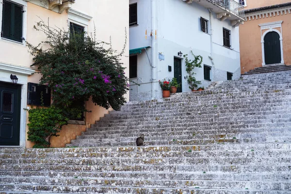 Korfu Nun Eski Kenti Yunanistan Eski Taş Merdivenlerinde Oturan Sevimli — Stok fotoğraf