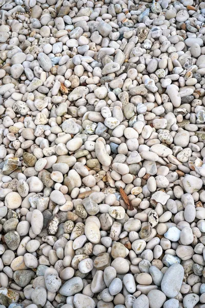 Yuvarlak Çakıl Taşları Deniz Dokusu Arkaplanı — Stok fotoğraf