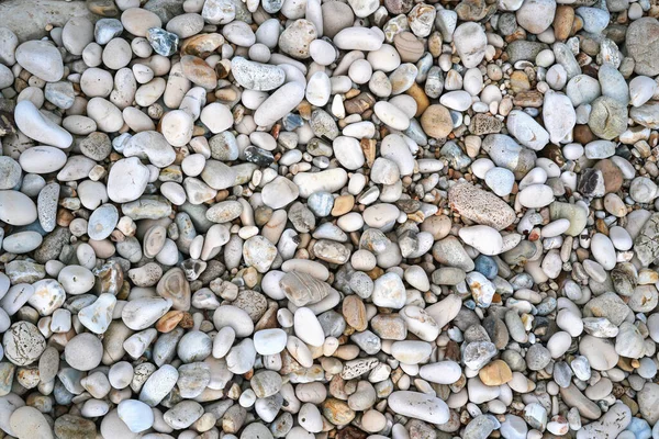 Runde Kieselsteine Meer Textur Hintergrund — Stockfoto