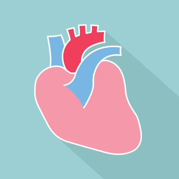 Heart Organ Icon Vector Illustration — Stock Vector