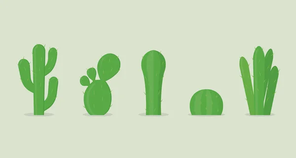 Diferente Conjunto Plantas Cactus Ilustración Vectores — Vector de stock