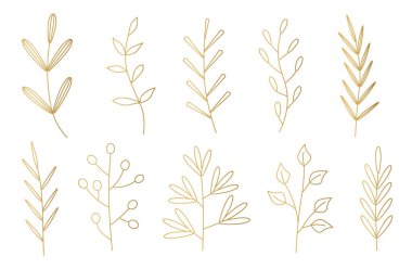Yaprakları olan bir dizi altın dal- vektör çizimi