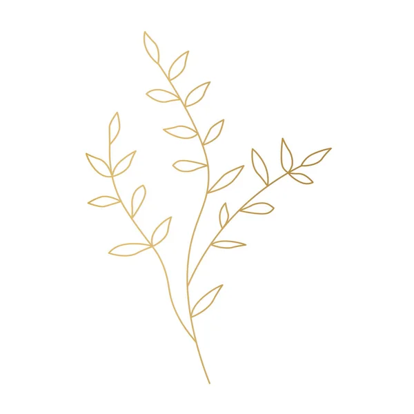 Goldene Zweige Mit Blättern Vektorillustration — Stockvektor
