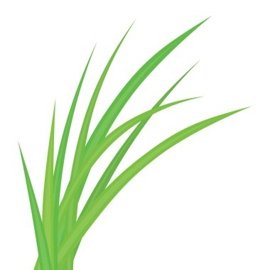 Yeşil otların yaprakları- vektör çizimi