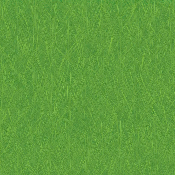 Groen Gras Achtergrond Vector Illustratie — Stockvector