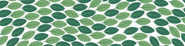 Green Leaves Banner Vector Illustration — Stock Vector