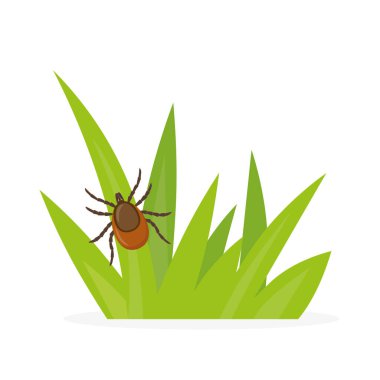 Çimenlerdeki tick lyme böceği - vektör illüstrasyonu