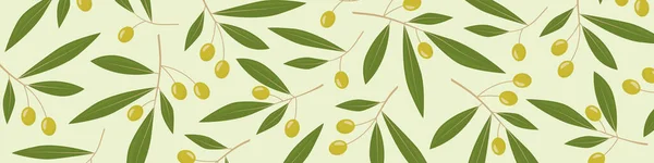 Olive Tree Branches Banner Vector Illustration — Stock Vector