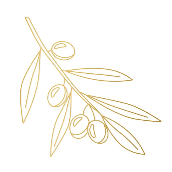 Goldener Olivenbaumzweig Vektorillustration — Stockvektor