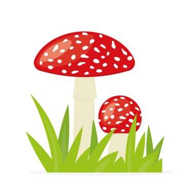 kırmızı mantarlı mantar, Amanita muscaria zehirli mantarlı otlar- vektör çizimi