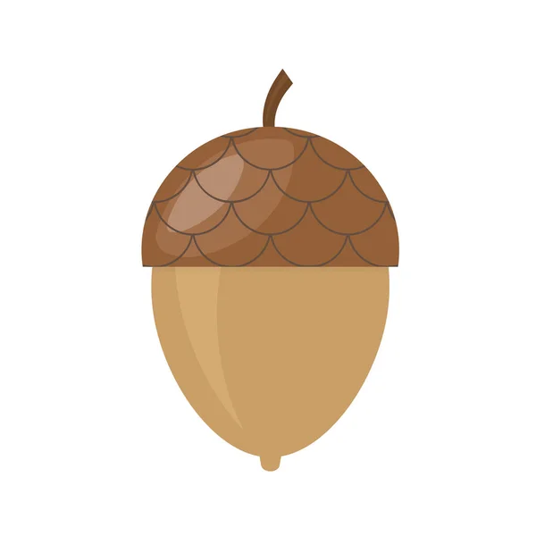 Oak Nut Acron Icon Vector Illustration — Stockvektor