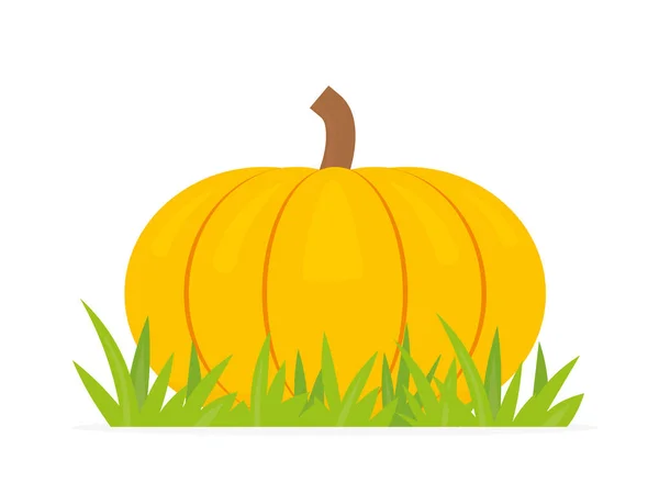 Autumn Pumpkin Grass Vector Illustration — 스톡 벡터