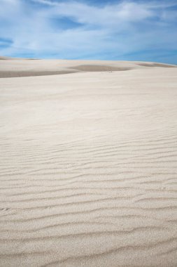 moving sand dune in Slowinski National Park, Leba, northern Poland