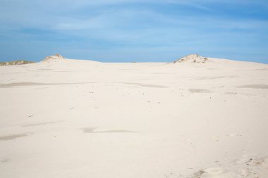 hareket halindeki kum tepeciği Slowinski Ulusal Parkı, Leba, Kuzey Polonya