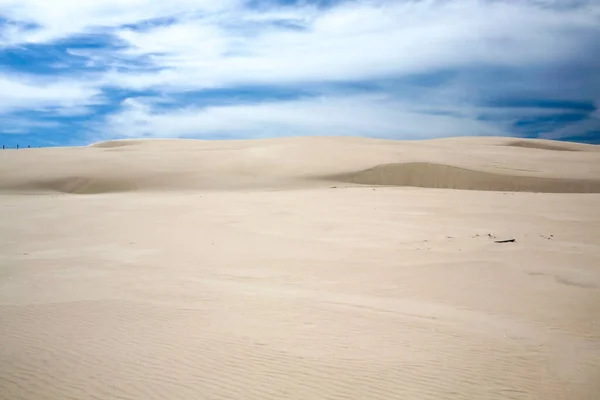 moving sand dune in Slowinski National Park, Leba, northern Poland