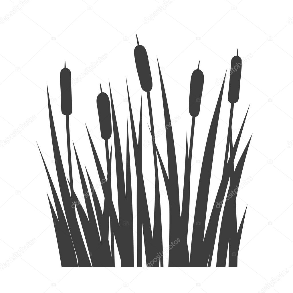 silhouette of cattail, reed, bulrush plant - vector illustration