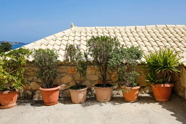 Beautiful Flowerpots Typical Greek Street Sea Background — Stock Photo, Image