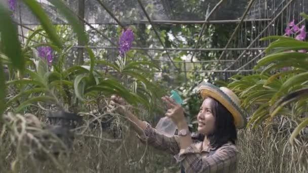 Giovane Donna Sorridente Coltivatore Orchidee Fiori Con Nebbia Bottiglia Acqua — Video Stock