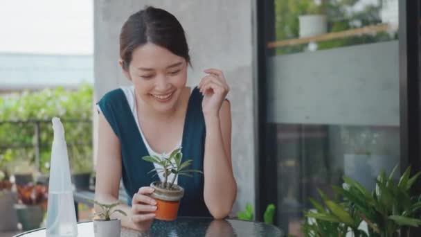 亚洲美丽的年轻女子手里拿着盆栽小树花 笑着看着外面花园的树手套 爱屋及乌 — 图库视频影像