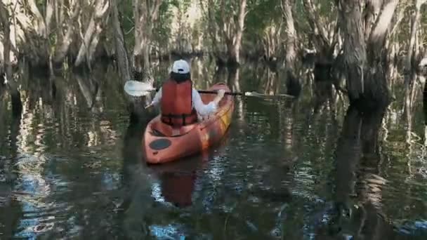 在乡村风景的夏日 年轻的成年女子划着独木舟在湖上划船 探险旅游休闲享受理念 生活方式体育度假 — 图库视频影像
