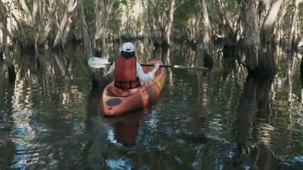 Indietro Giovane Donna Adulta Pagaiare Canoa Kayak Lago Nella Giornata — Video Stock