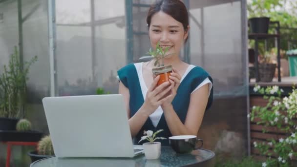 Asiático Hermoso Estilo Vida Joven Mujer Hablar Venta Pequeño Árbol — Vídeos de Stock