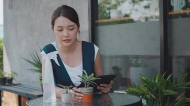 Asyalı güzel genç bir kadın elinde teknoloji tableti tutarken gülümsüyor bahçe evindeki saksıda bulunan küçük ağaç kalitesini kontrol ediyor ev bitkilerini seviyor, küçük işletme konseptini seviyor.