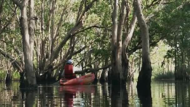 Indietro Giovane Donna Adulta Pagaiare Canoa Kayak Lago Nella Giornata — Video Stock