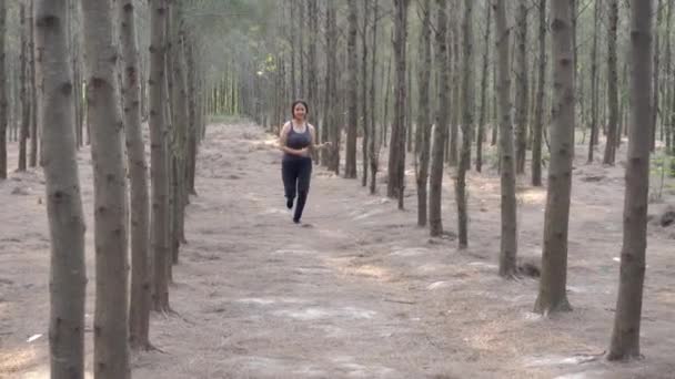 Corredor Treinamento Ginástica Corrida Feminino Jovem Parque Primavera Floresta Trilha — Vídeo de Stock