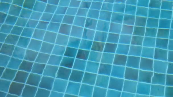 Sfondo Superficie Nuoto Sondaggio Acqua Blu Con Ondulazione Clen Tessitura — Video Stock