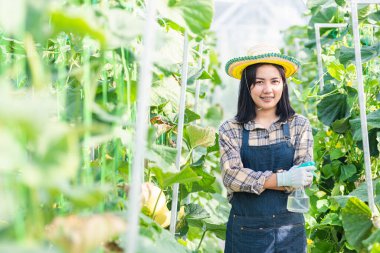 Mutlu genç kadın çiftçi kollarını kavuşturup gülümsüyor bahçe ekimi, kavun yetiştirme çiftliği, meyve yetiştirme organik konsepti