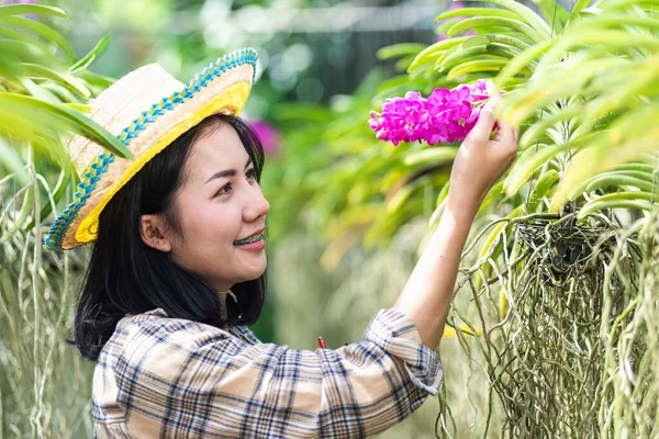 年轻农民女性步行到兰花园林场 女性在花园温室里检查兰花的质量 农业观念 — 图库照片