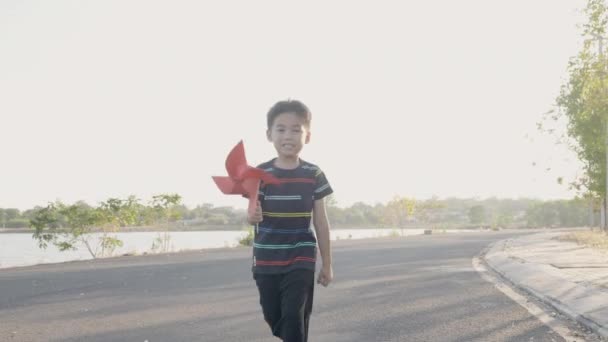 小さな風車や風車のおもちゃを手にした小さな畑で笑顔の幸せ小さな男の子が夏の日に公園の庭で日没に手に — ストック動画