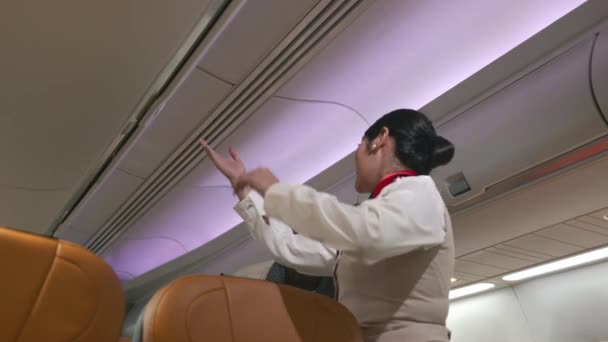 Vriendelijke Stewardess Air Gijzelaar Helpen Passagier Zakenman Zet Bagage Bovenste — Stockvideo