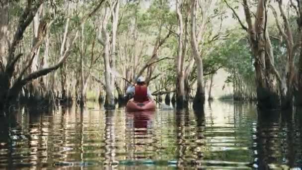 Back Young Adult Woman Paddling Kayaking Canoe Lake Summer Day — Stock Video
