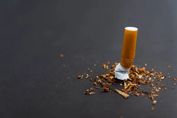 31 May of World No Tobacco Day, no smoking, close up of broken pile pin down cigarette or tobacco on black background with copy space, and Warning lung health concept
