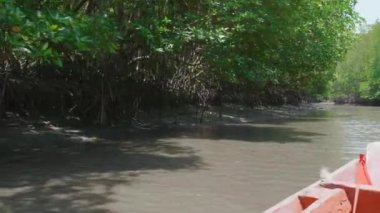 Balıkçı teknesi ya da Thung Prong Thong, Pak Nam Prasae, Tayland Rayong 'u olan uzun kuyruklu teknesi olan mangrov ormanlarıyla küçük bir nehirde tekne gezisi.