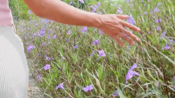 Blurred Hand Touching Purple Flower Her Hand Back Beautiful Woman — Vídeo de Stock