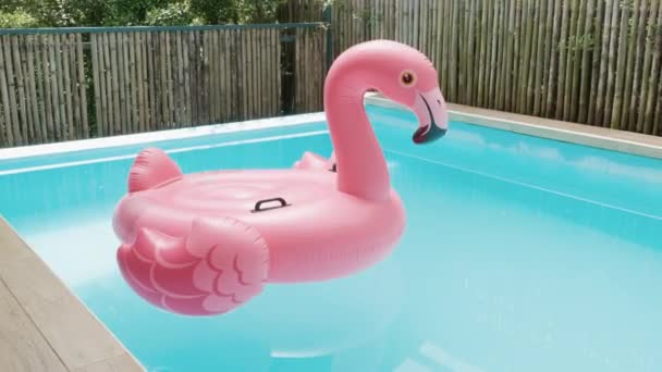 Pink Inflatable Ring Flamingo Plastic Swimming Pool Blue Water Pool — ストック動画