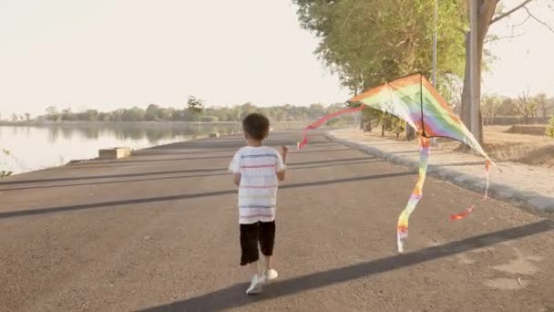 Asiatische Glückliche Kinder Junge Mit Einem Drachen Läuft Park Sommer — Stockvideo