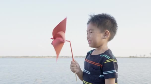 小さな風車や風車のおもちゃを手にした小さな畑で笑顔の小さな男の子が夏の日に公園の庭で手に — ストック動画