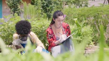 Mutlu çocuk çiftçi elleri büyüteç tutuyor ve hidroponik çiftliğindeki sebzelere bakıyor, biyoteknoloji çocuğu bitki yaprağını inceliyor, tarım okulunda bilim konsepti araştırması yapıyor.