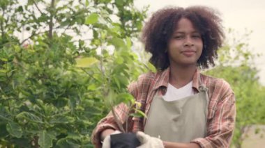 Mutlu çocuklar, çiftçiler, hidroponik çiftliğinde büyüyen büyük ağaçları, biyoteknoloji çocuk, filizlenen bahar baharı, ellerde çevresel toprak günü.