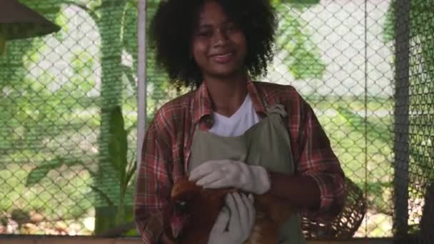 Anak Anak Yang Bahagia Menangkap Induk Ayam Peternakan Anak Anak — Stok Video