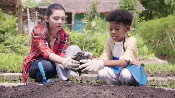 Ragazza Del Gruppo Bambini Ragazzo Diverso Ambiente Apprendimento Piante Vegetali — Video Stock