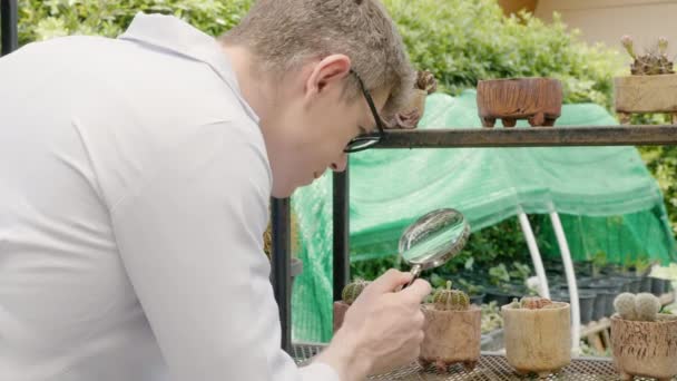 通过放大镜观察仙人掌的生物技术化学家 他研究的是在仙人掌花园里拿放大镜的农民 — 图库视频影像