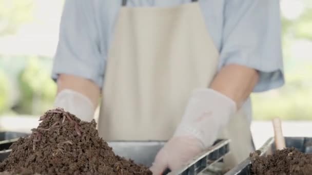 土の虫を手に持つ手 有機肥料農業の概念 彼の手にミミズのグループを示す農家 家庭用食品廃棄物からの微生物の生産 — ストック動画