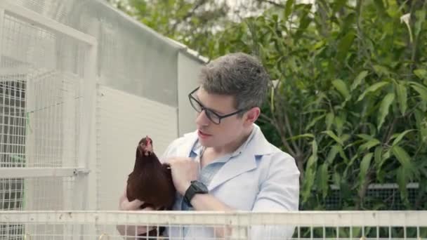 Heureux Médecin Vétérinaire Homme Exploitation Examinant Poulet Pour Les Soins — Video
