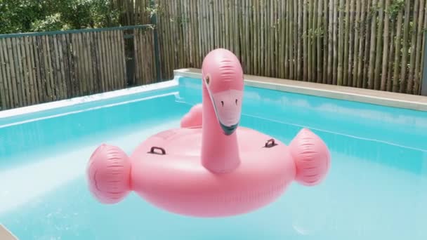 Pink Inflatable Ring Flamingo Plastic Swimming Pool Blue Water Pool — Vídeo de stock