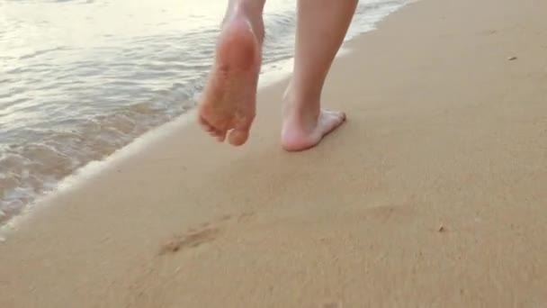 Back View Close Foot Young Beautiful Woman Walking Tropical Sand — Stockvideo